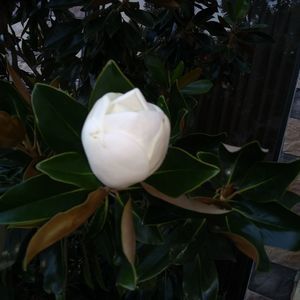 Meet your Posher, Misty